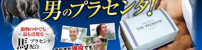 �����Y�v���Z���^The Premium���T�C�g